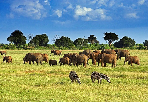 Kenya travel highlights – 